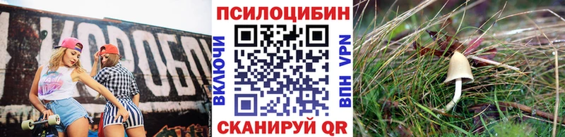Галлюциногенные грибы прущие грибы  где продают наркотики  Андреаполь 